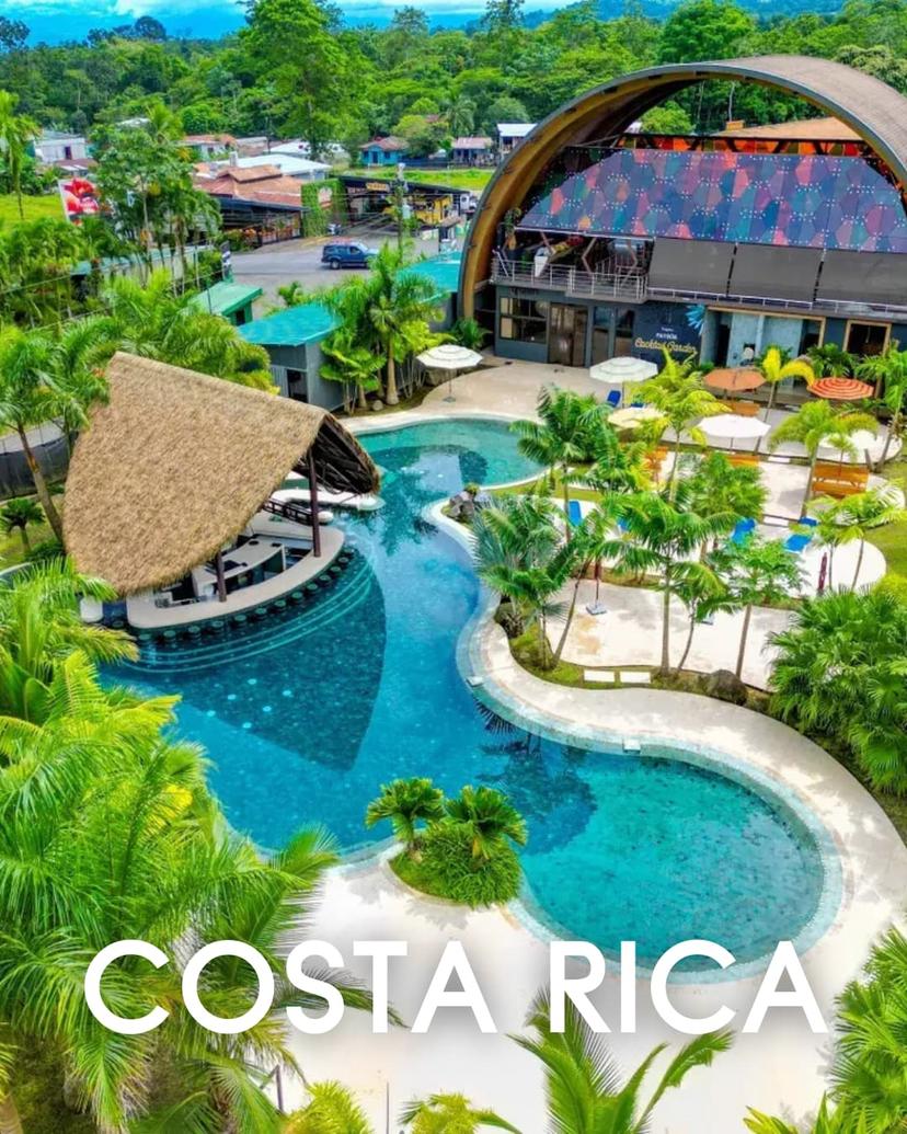 Glass installation showcase