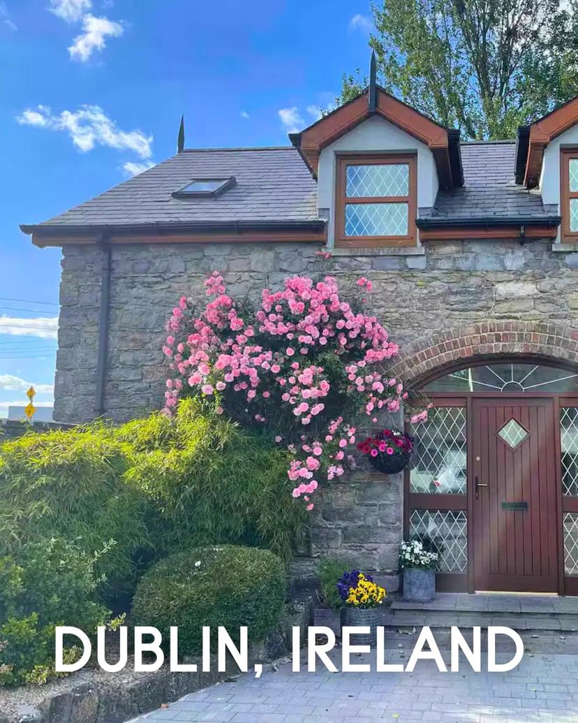 Glass installation showcase